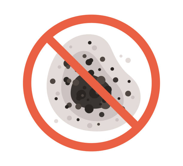 Mold Odor Removal Services in Torrington, WY