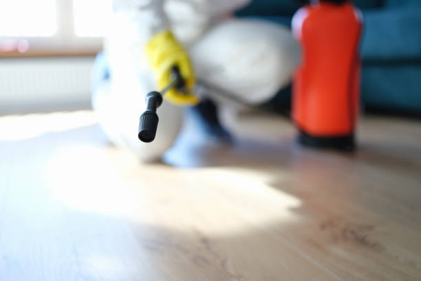 Best Crawl Space Mold Remediation  in Torrington, WY
